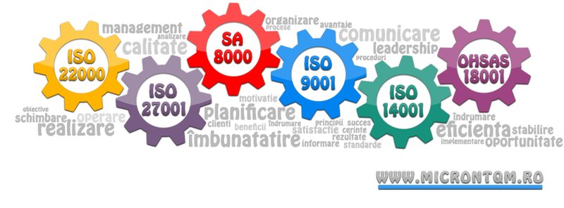 Micron Tqm - Consultanta, instruire si audit, sisteme de management